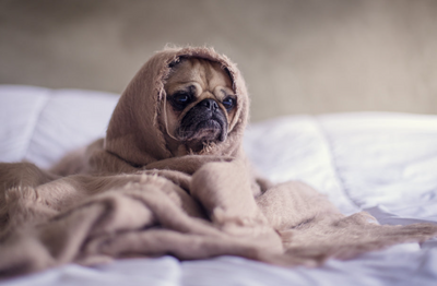 Navigating Sleep with an Ear Infection: Positions and Strategies for Comfort
