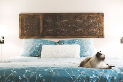 How to Buy a Good Camping Mattress?