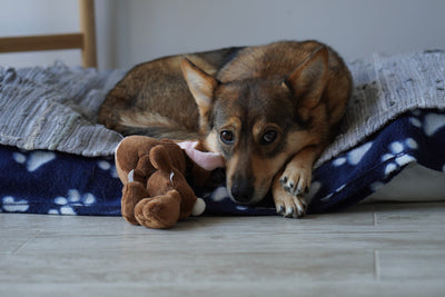 Mattress Pad vs. Mattress Topper: What’s the Difference?