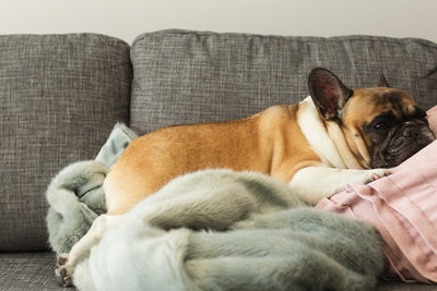 Tips to Make an Empty Bedroom Feel Cozy