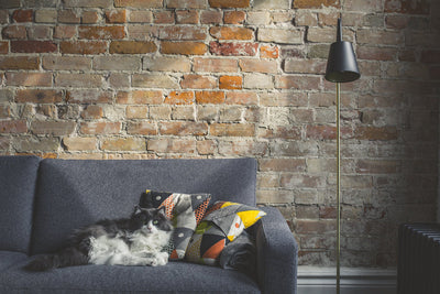 Are You Looking for a Mattress Store Near You?