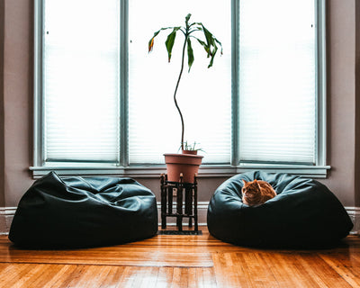 Are Japanese Futons Good or Bad for Your Back and Why?