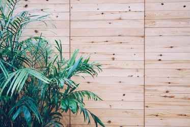 Revamp Your Homestay's Sleeping Quarters with Futon Mattresses