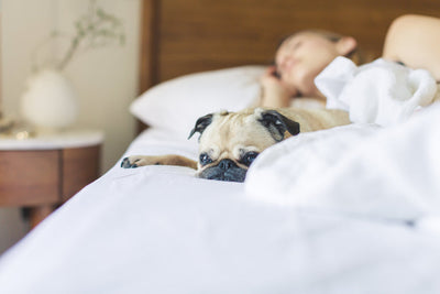 Top 10 Things that Consumers Care Most About Futon Mattresses