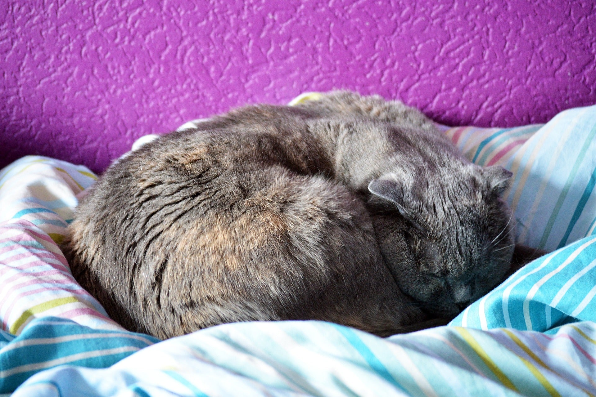 Can You Sleep On A Futon Every Night Can You Sleep On A Futon Every Night