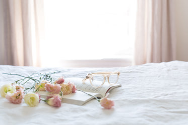 Master Bedroom Makeover: How to Elevate Your Sleep Experience