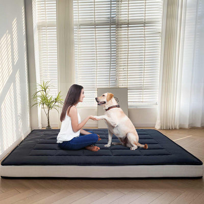 futon mattress#quilted_rectangle