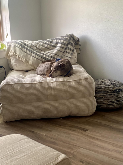 Folding Sofa Bed#size_single