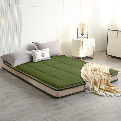 DreamLux Supreme 6" Pillow Top Futon Mattress, Green