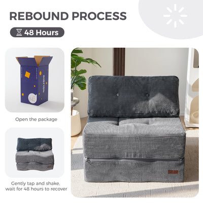 MAXYOYO Folding Sofa Bed, Convertible Sofa Bed with High-Density Support Foam for Living Room Bedroom, Dark Grey